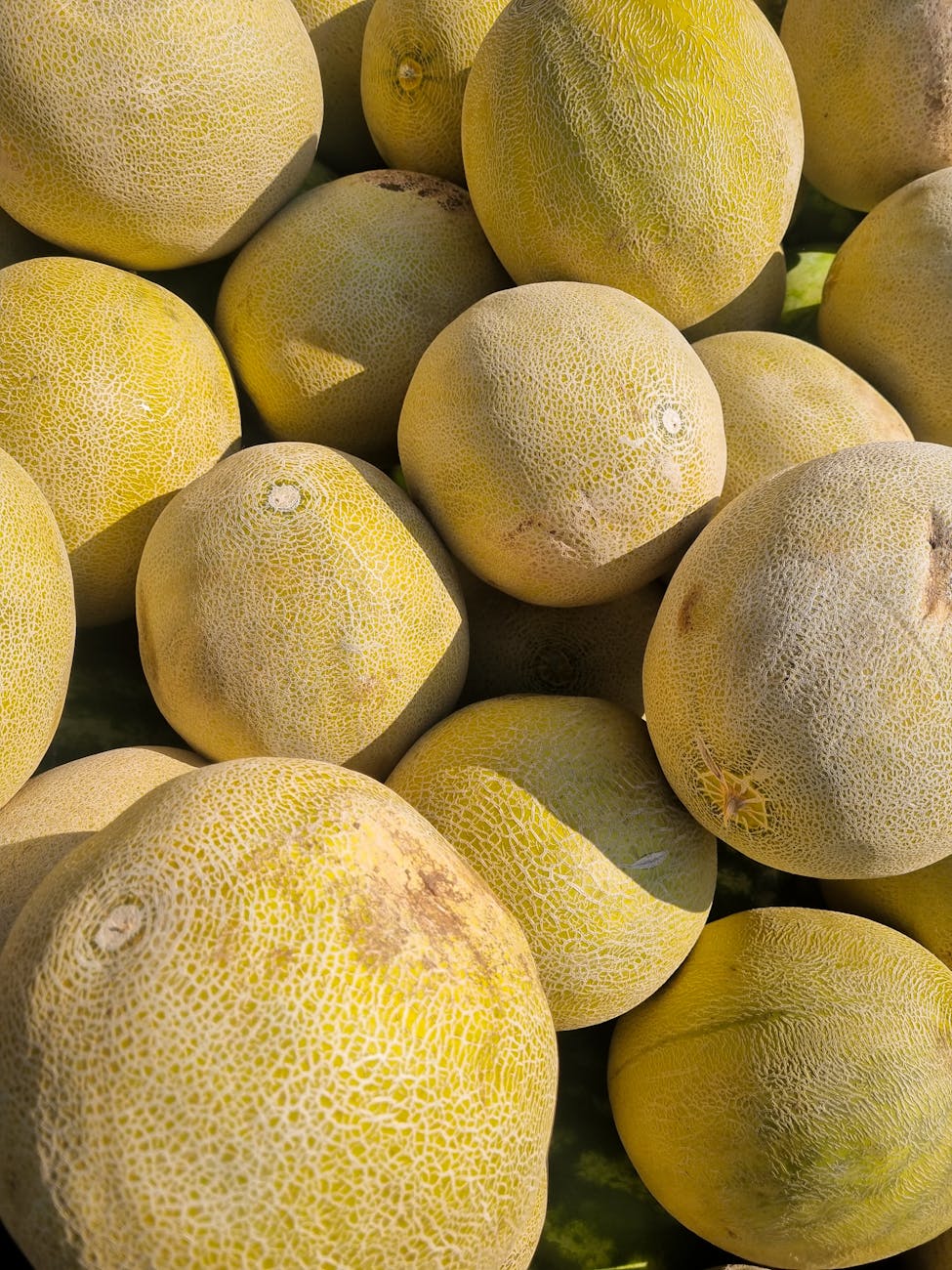 fresh yellow melons at guatemala market