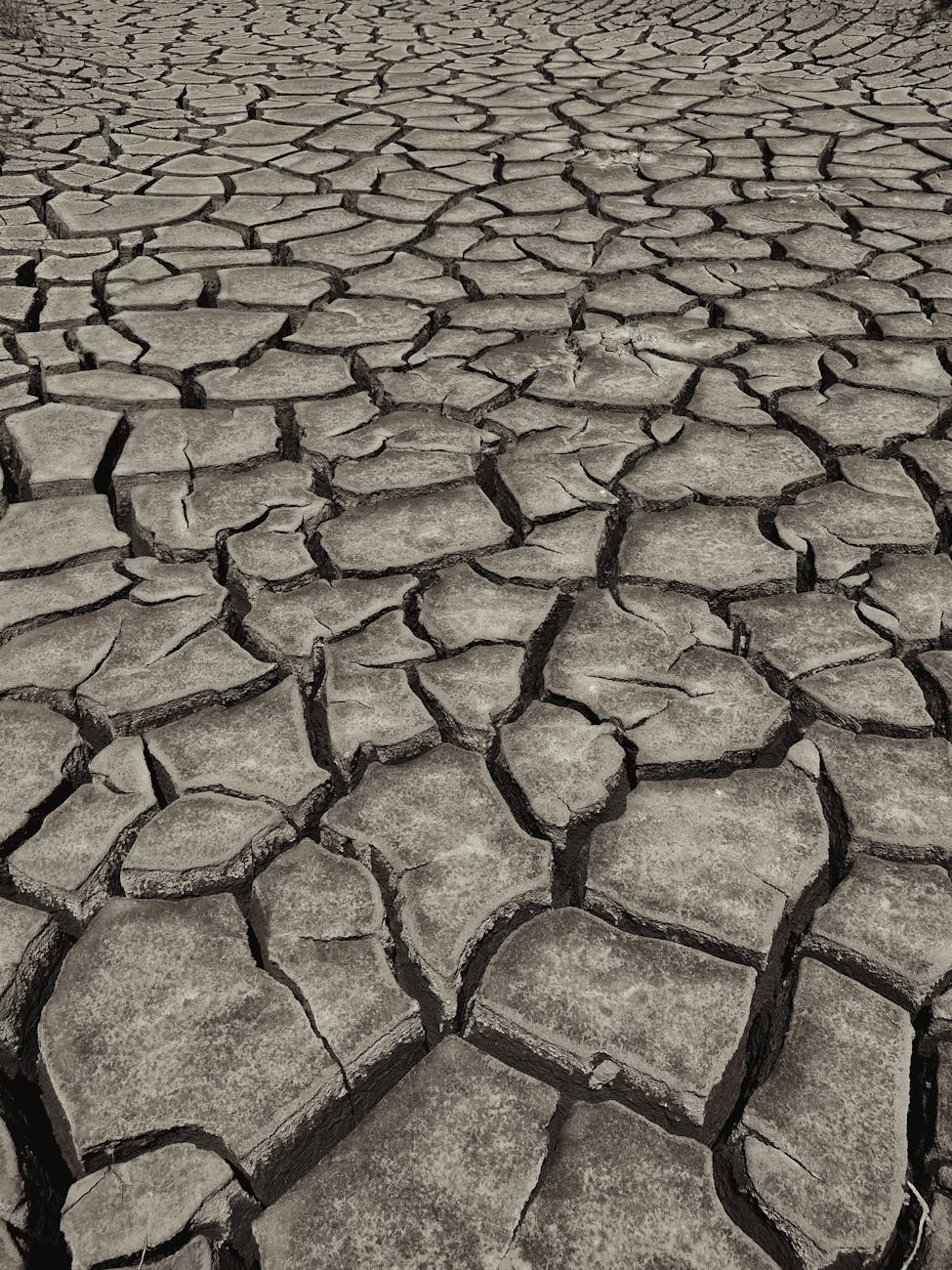 cracked earth symbol of severe drought